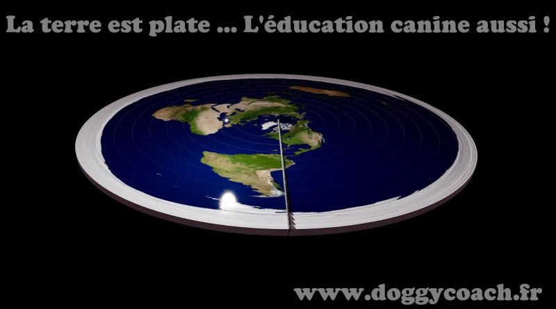 La terre est plate ... l'éducation canine aussi
