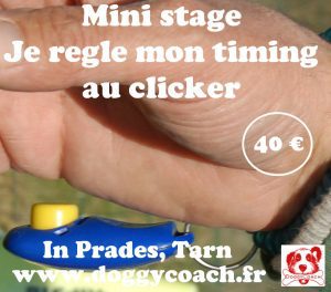exemple d'un clicker utilisé en méthode positive