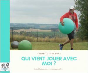 Agenda de Doggycoach cours en ligne pour éducateur canin