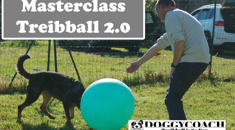 masterclass treibball 2-0-j-5 cours en ligne pour apprendre à jouer au treibball by Doggycoach