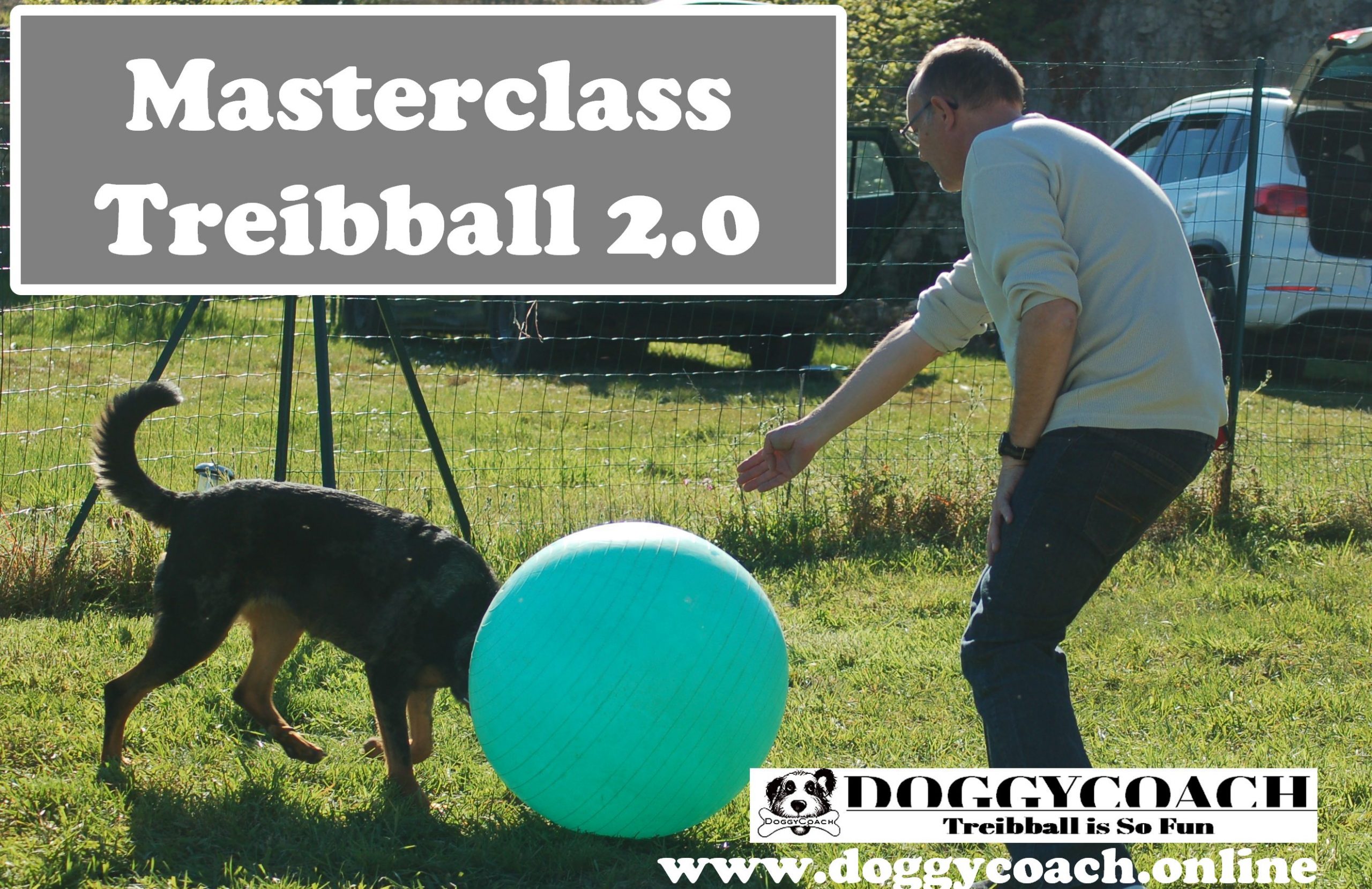 masterclass treibball 2-0-j-5 cours en ligne pour apprendre à jouer au treibball by Doggycoach