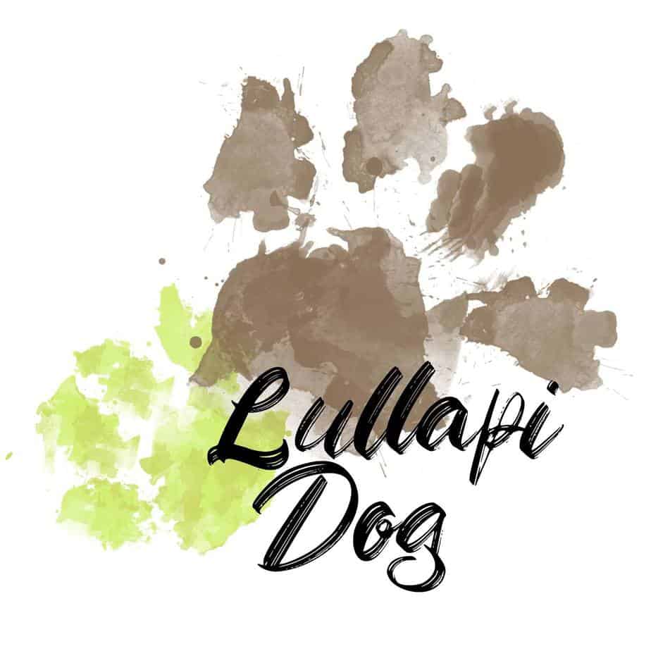 Lullapi Dog éducateur canin Tarn