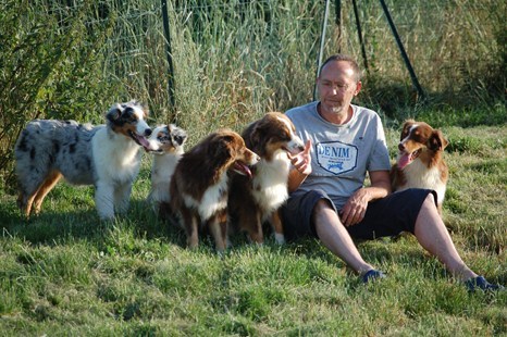 patrick aufroy et ses bergers australiens