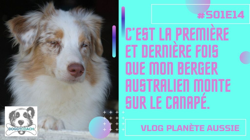 S01E14 image du podcast planète Aussie
