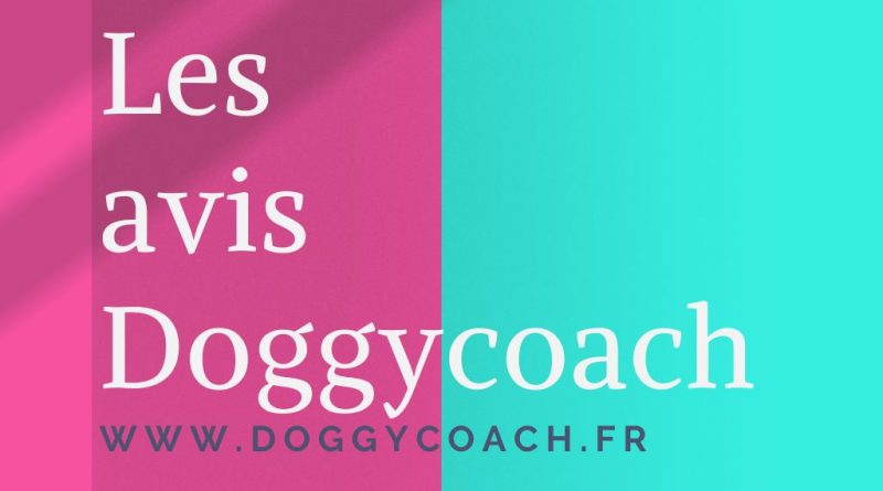 Logo de la page les avis sur les cours en ligne Doggycoach