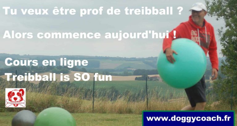 Publicité pour cours en ligne de treibball pour les professionnels éducateur canin