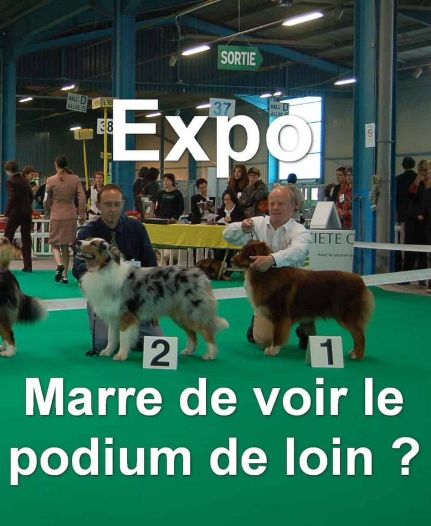 nimble_asset_expo-marre-podium