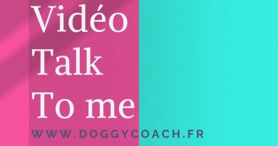 Logo de la video Talk to me pour mieux communiquer avec ton chien