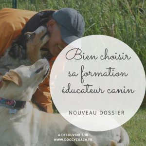 bien choisir sa formation éducateur canin
