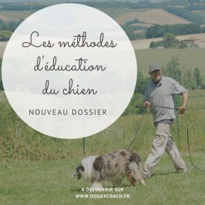 les méthodes d'éducation du chien
