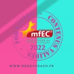 carré logo MFEC formations validées par le MFEC