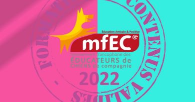 carré logo MFEC formations validées par le MFEC