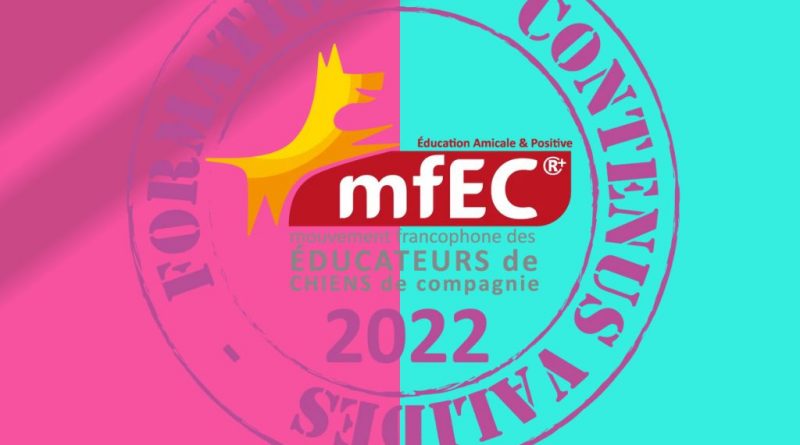 carré logo MFEC formations validées par le MFEC