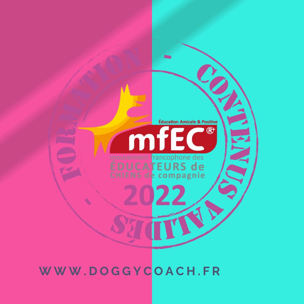 Les formations Doggycoach validées par le MFEC