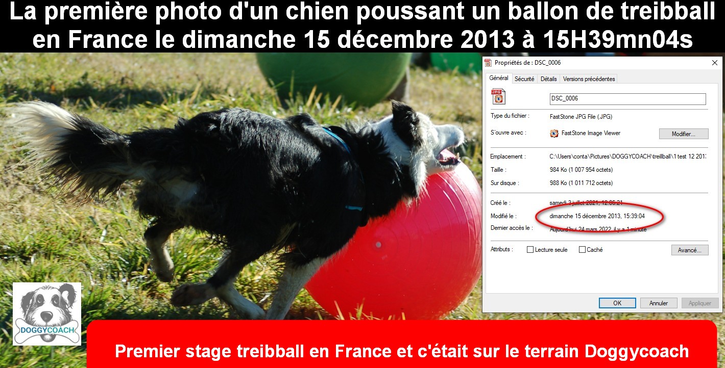 Premier stage de treibball en France le 15 décembre 2013 chez Doggycoach