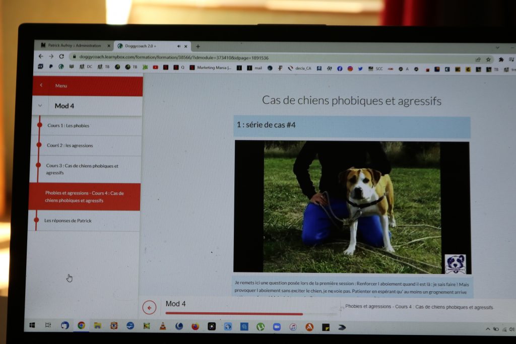 exemple de la formation professionnelle éducateur canin comportementaliste en positif by Doggycoach