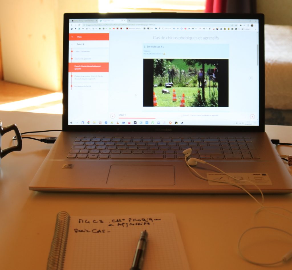 exemple de la formation professionnelle éducateur canin comportementaliste en positif by Doggycoach