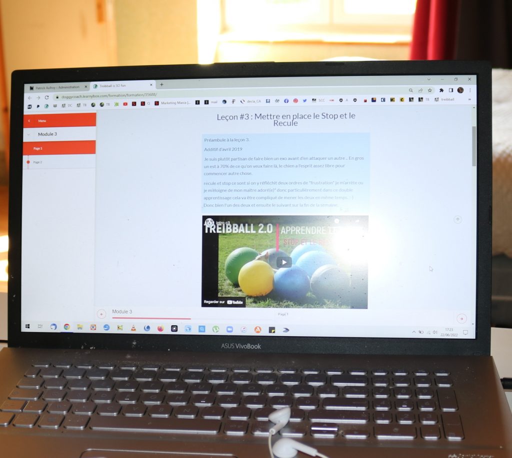 exemple du cours en ligne treibball by Doggycoach