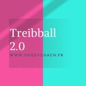 logo pour la page treibball de Doggycoach