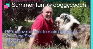Summer fun chez Doggycoach