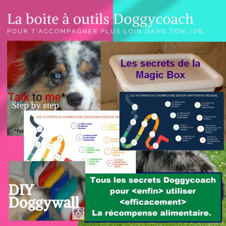 La boite à outils Doggycoach