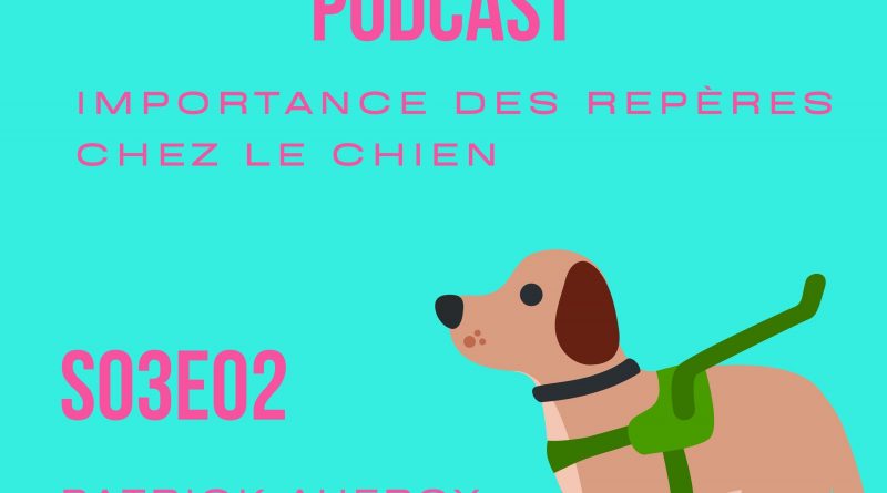 Image du podcast Importance des repères chez le chien S03E02