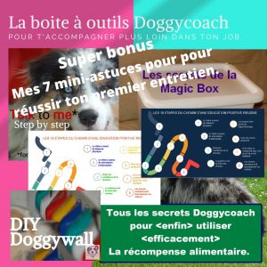 La boite à outils Doggycoach newsletter pro