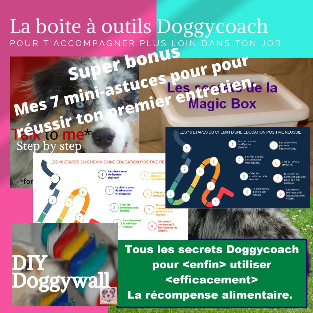 La boite à outils Doggycoach newsletter pro