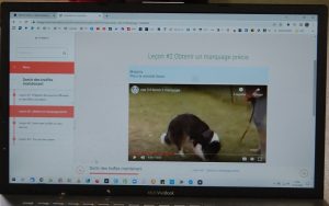 sortir des truffes maintenant marquage précis