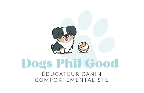 Dog's Phil Good éducateur canin Tarn