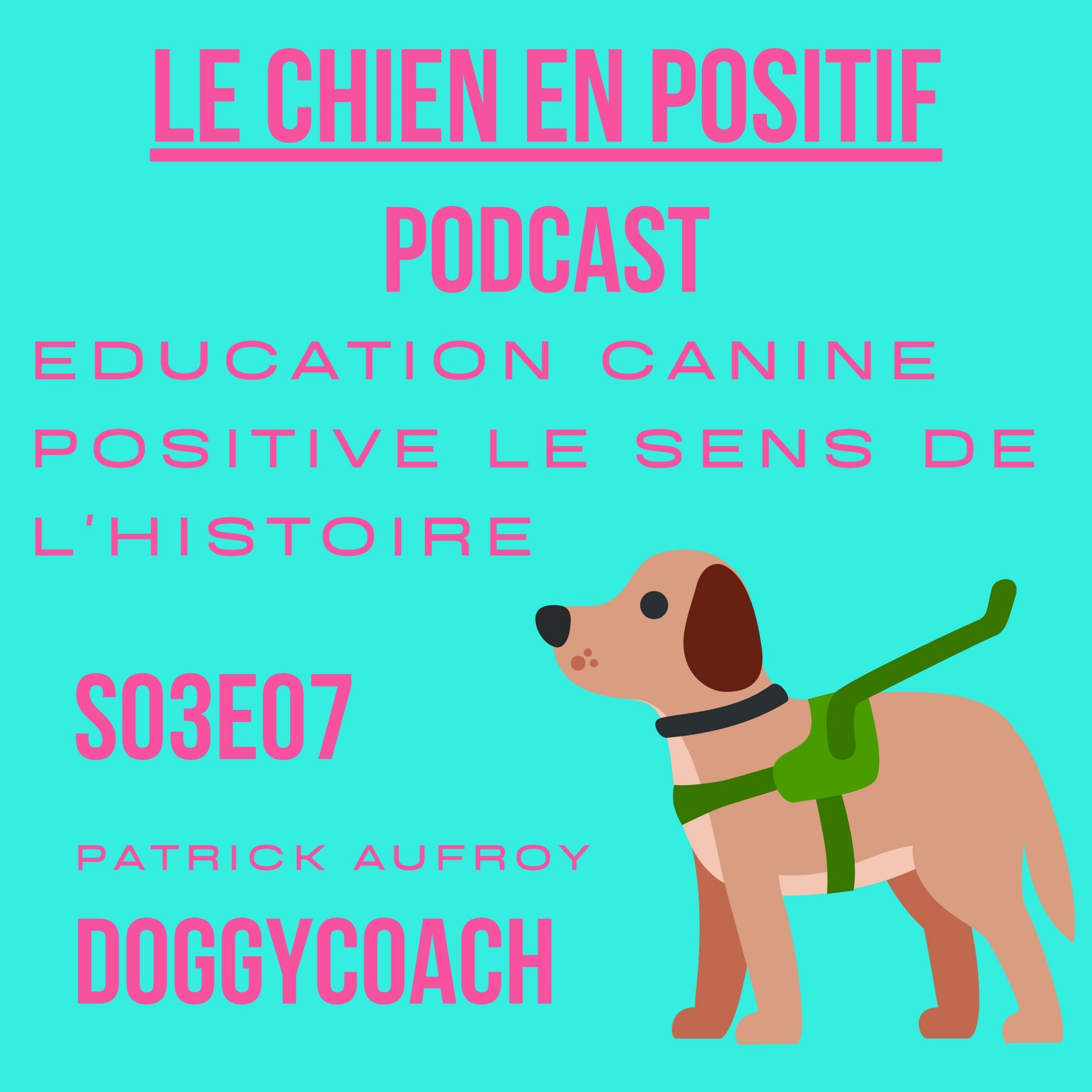 Podcast éducation canine positive le sens de l'histoire