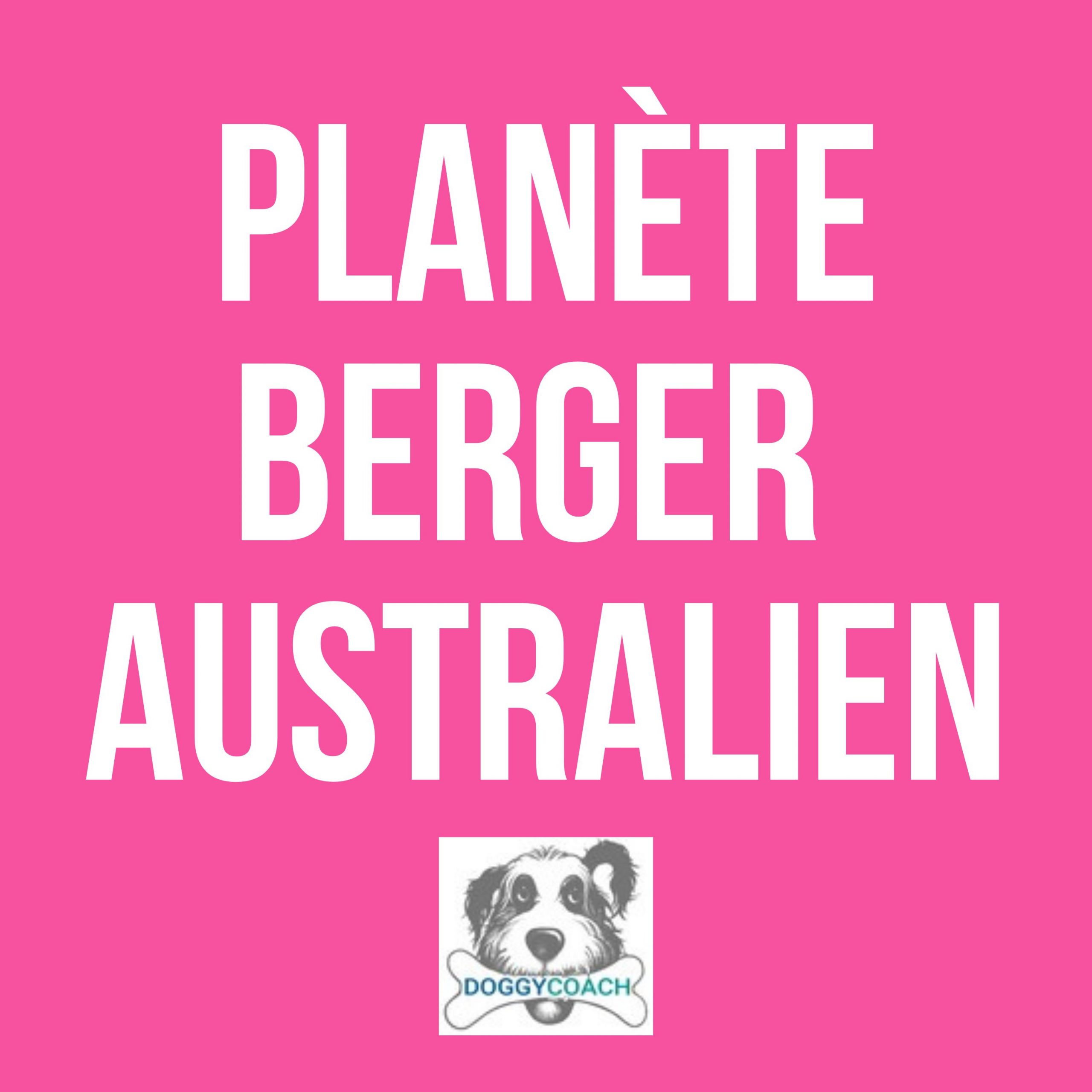 logo Podcast planète berger australien