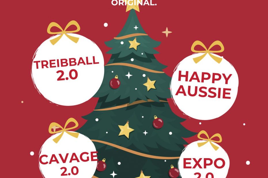 Offrir un cours en ligne Doggycoach c'est l'assurance d'un vrai cadeau de noël original. Treibball 2.0, Cavage 2.0, Expo 2.0, Happy Aussie. Le cadeau de Noël Parfait