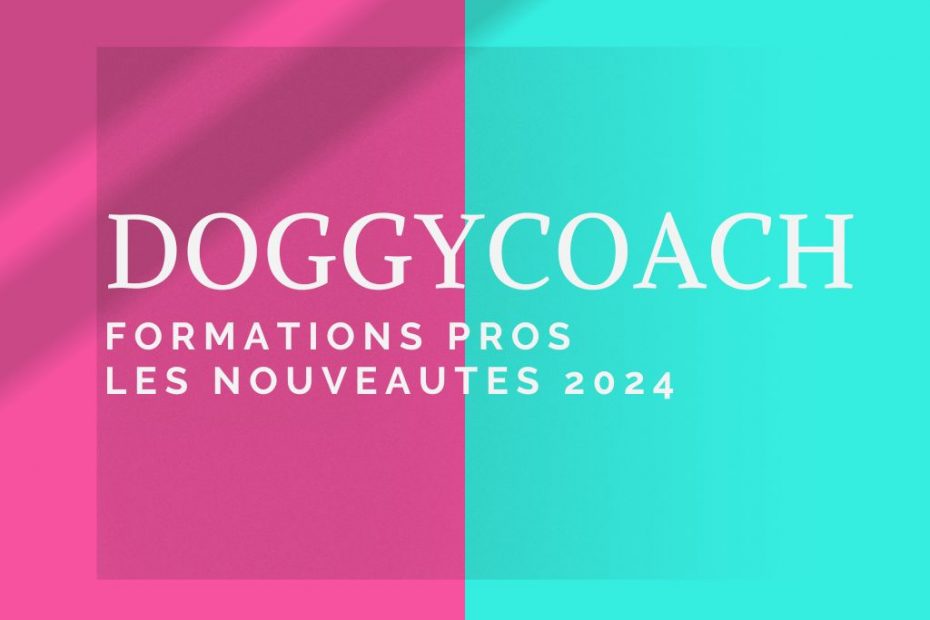 Doggycoach formation professionnelle les nouveautés 2024